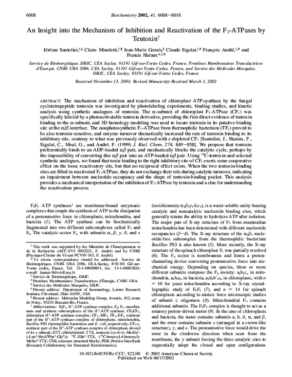 (PDF) An Insight into the Mechanism of Inhibition and Reactivation of ...