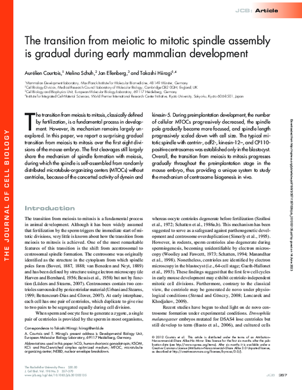 (PDF) The transition from meiotic to mitotic spindle assembly is ...