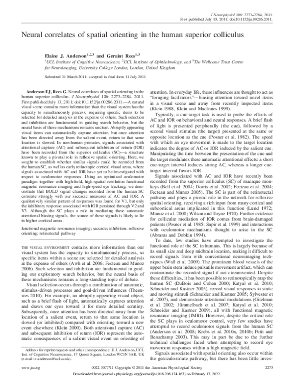 (PDF) Neural correlates of spatial orienting in the human superior ...