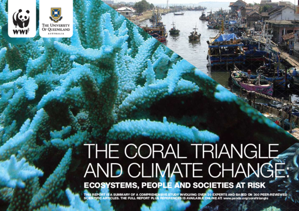 The Coral Triangle and climate change: Ecosystems, people and societies at risk