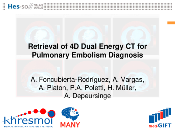 (PDF) Retrieval of 4D Dual Energy CT for Pulmonary Embolism Diagnosis