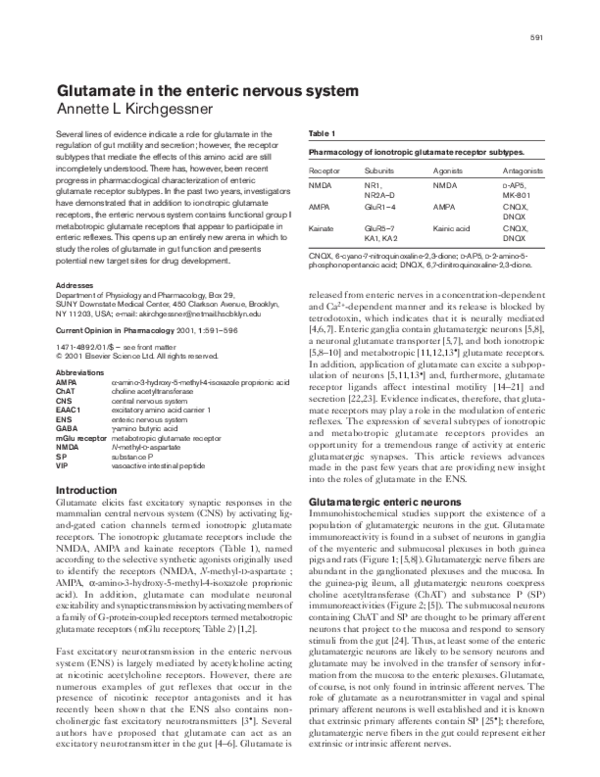 Curated visual reference: Gallery Detail: Pdf Glutamate In The Enteric Nervous System