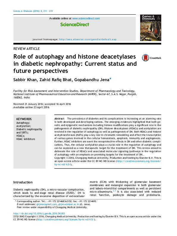 (PDF) Role of autophagy and histone deacetylases in diabetic ...