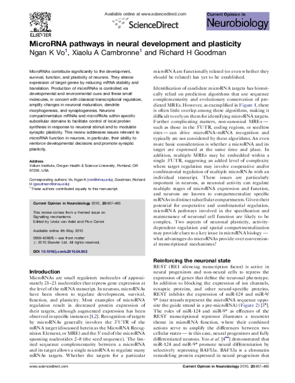 (PDF) MicroRNA pathways in neural development and plasticity