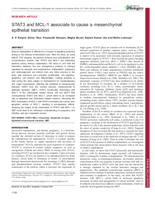 (PDF) STAT3 and MCL-1 associate to cause a mesenchymal epithelial ...