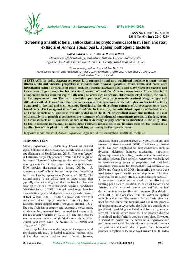 (PDF) Screening of antibacterial, antioxidant and phytochemical of leaf ...
