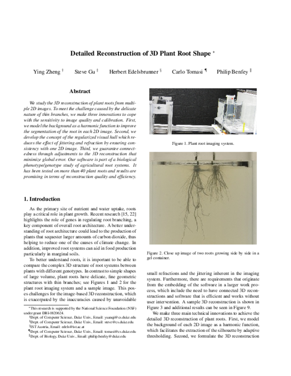 (PDF) Detailed reconstruction of 3D plant root shape