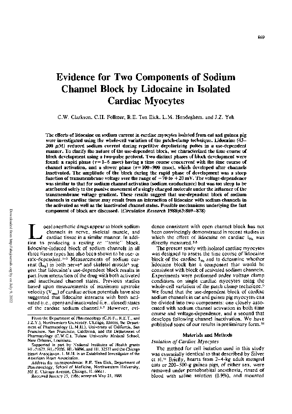 (PDF) Evidence for two components of sodium channel block by lidocaine ...