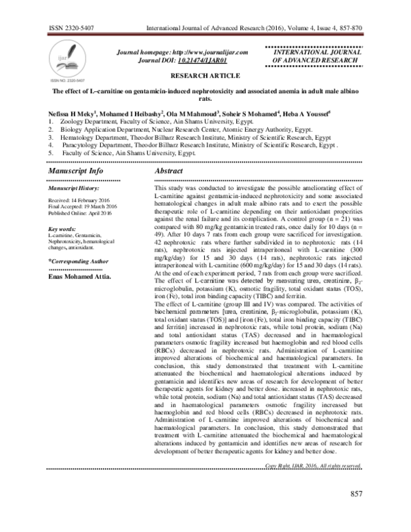 l carnitine research articles Intestinal microbiota metabolism of l-carnitine, a nutrient in red meat,  promotes atherosclerosis main image 1