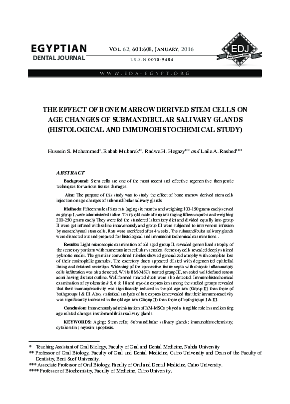 (PDF) The Effect of Bone Marrow Derived Stem Cells on Age Changes of ...