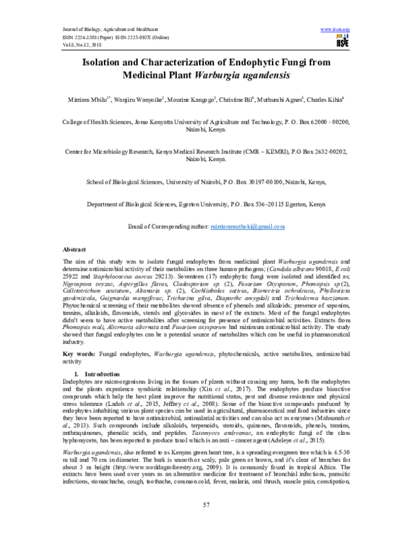 (PDF) Isolation and Characterization of Endophytic Fungi from Medicinal ...