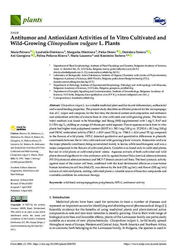 (PDF) Antitumor and Antioxidant Activities of In Vitro Cultivated and ...