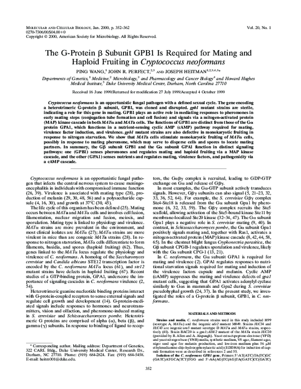 (PDF) The G-Protein β Subunit GPB1 Is Required for Mating and Haploid ...