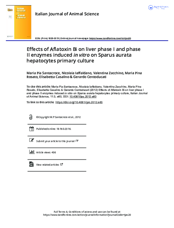 (PDF) Effects of Aflatoxin Bi on liver phase I and phase II enzymes ...