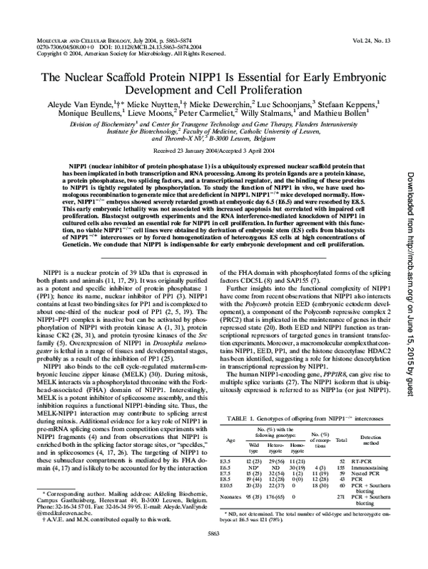 (PDF) The Nuclear Scaffold Protein NIPP1 Is Essential for Early ...