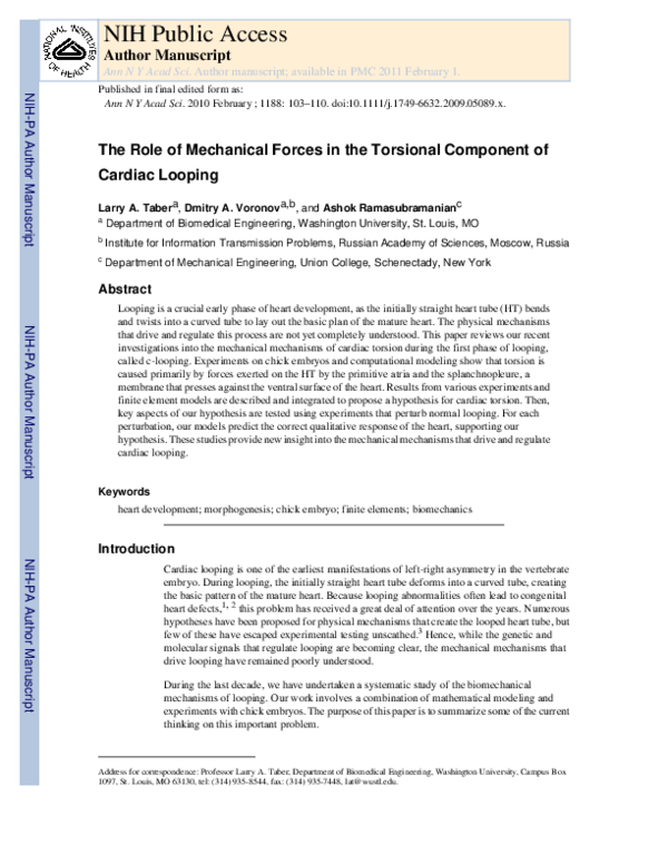 (PDF) The role of mechanical forces in the torsional component of ...