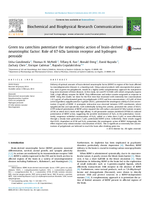 (PDF) Green tea catechins potentiate the neuritogenic action of brain ...