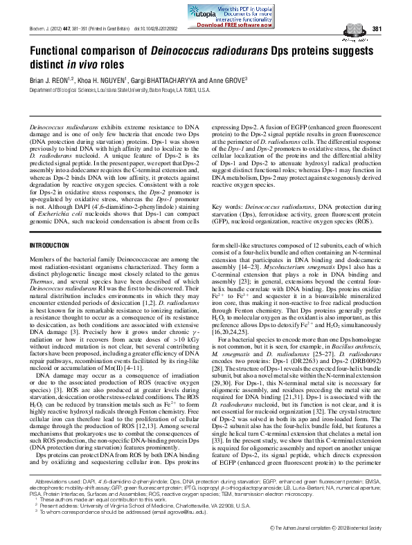 Functional comparison of Deinococcus radiodurans Dps proteins suggests distinct in vivo roles