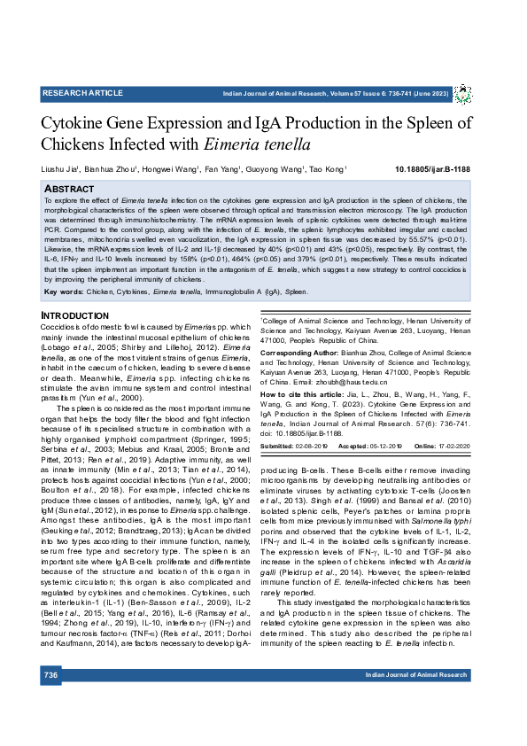 (PDF) Cytokine Gene Expression and IgA Production in the Spleen of ...
