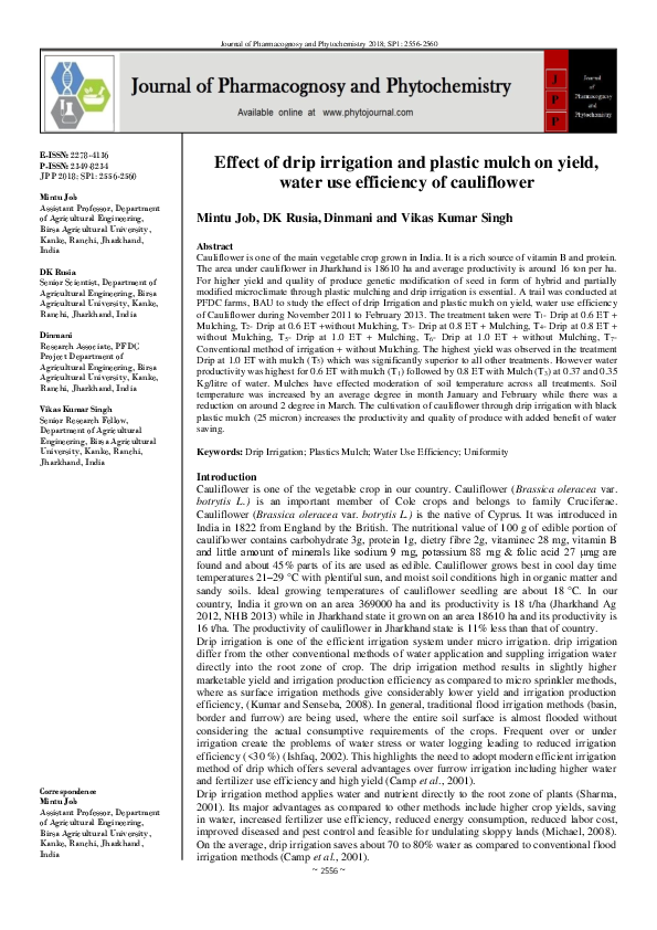 (PDF) Effect of drip irrigation and plastic mulch on yield, water use ...