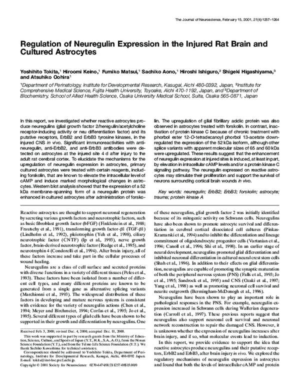 (PDF) Regulation of neuregulin expression in the injured rat brain and ...