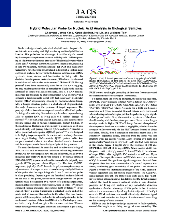 (PDF) Hybrid Molecular Probe for Nucleic Acid Analysis in Biological ...