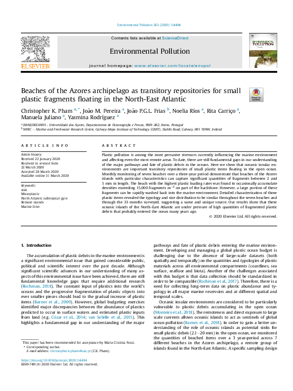 (PDF) Beaches of the Azores archipelago as transitory repositories for ...