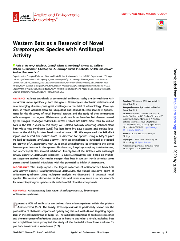 (PDF) Western Bats as a Reservoir of Novel Streptomyces Species with ...