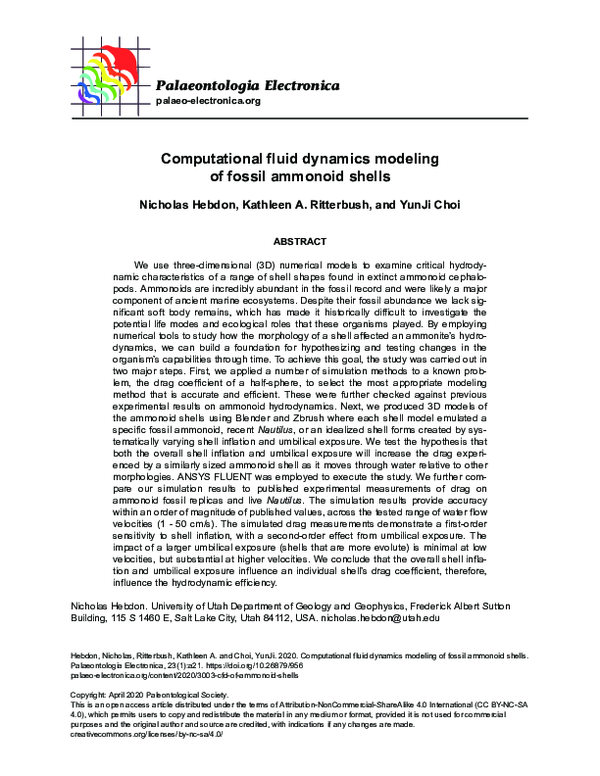 Computational fluid dynamics modeling of fossil ammonoid shells