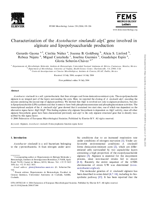 (PDF) Characterization of theAzotobacter vinelandii algCgene involved ...