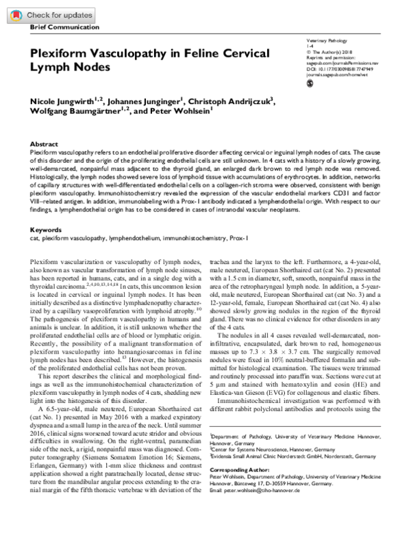 Curated visual reference: Feline Swollen Lymph Glands Audio Healing Reference: Pdf Plexiform Vasculopathy In Feline Cervical Lymph Nodes