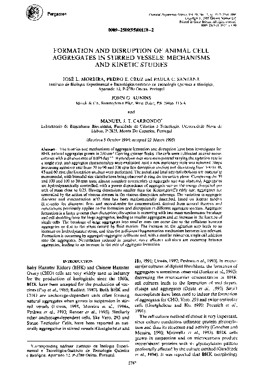 (PDF) Formation and disruption of animal cell aggregates in stirred ...