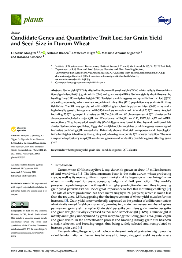 (PDF) Candidate Genes and Quantitative Trait Loci for Grain Yield and ...