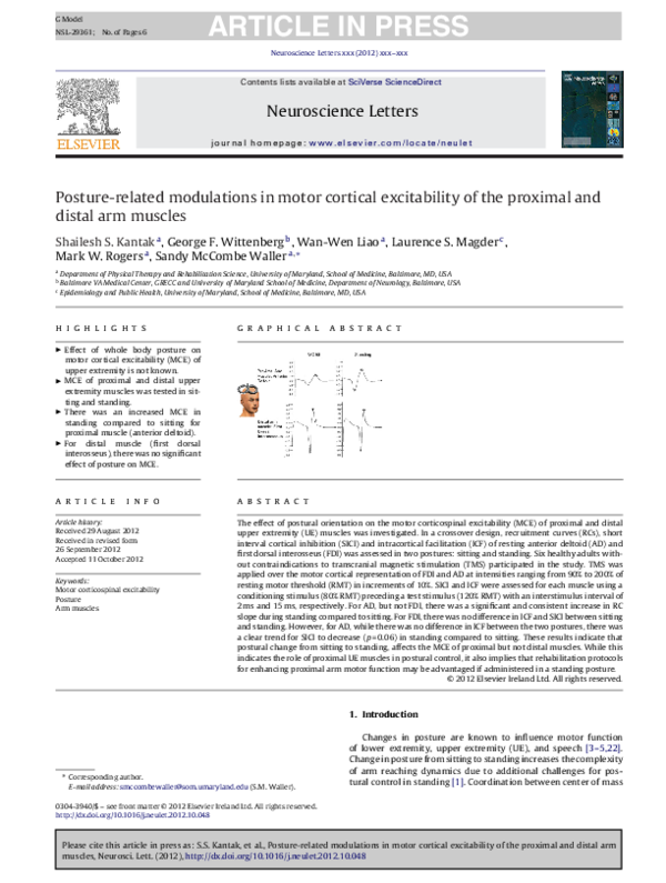 (PDF) Posture-related modulations in motor cortical excitability of the ...