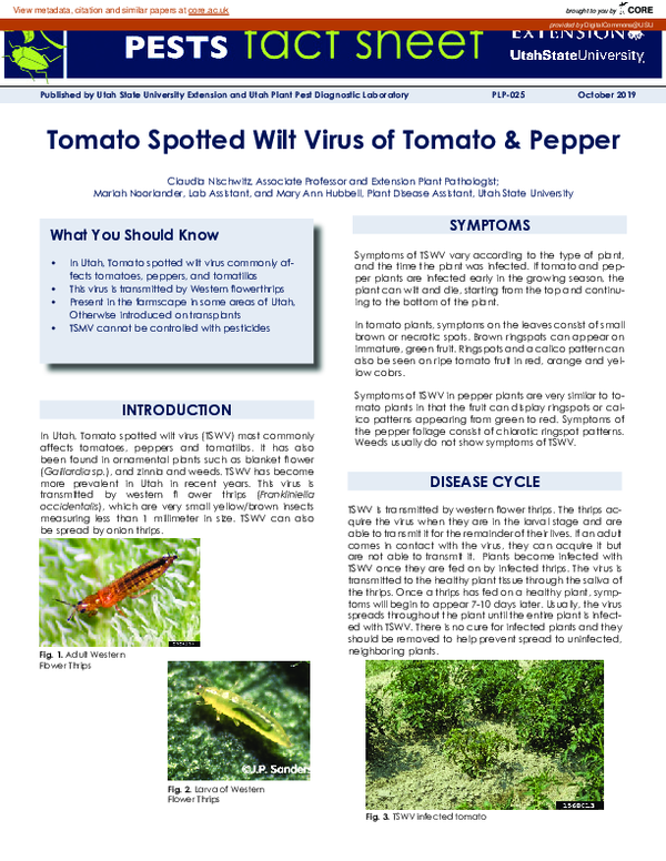 (PDF) Tomato Spotted Wilt Virus of Tomato & Pepper