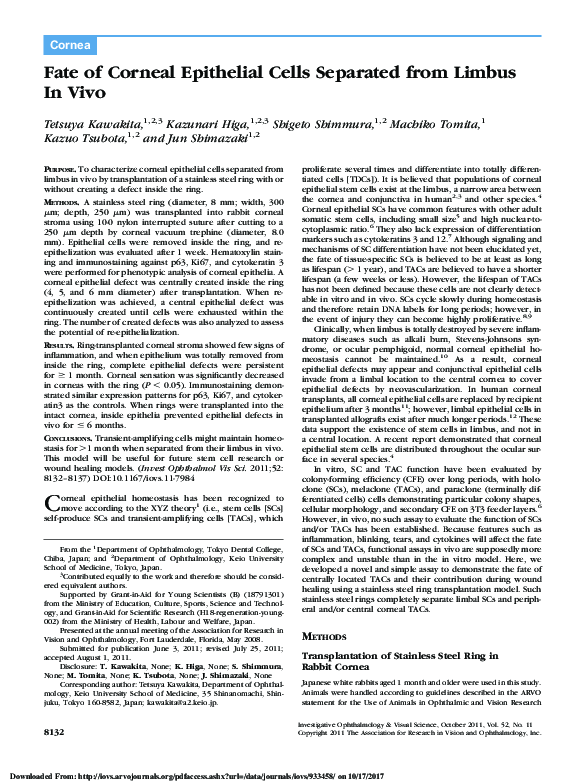 (PDF) Fate of Corneal Epithelial Cells Separated from Limbus In Vivo