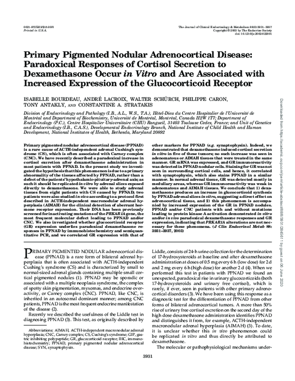 (PDF) Primary Pigmented Nodular Adrenocortical Disease | Miroslav Dumić ...