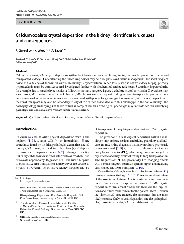 (PDF) Calcium oxalate crystal deposition in the kidney: identification ...
