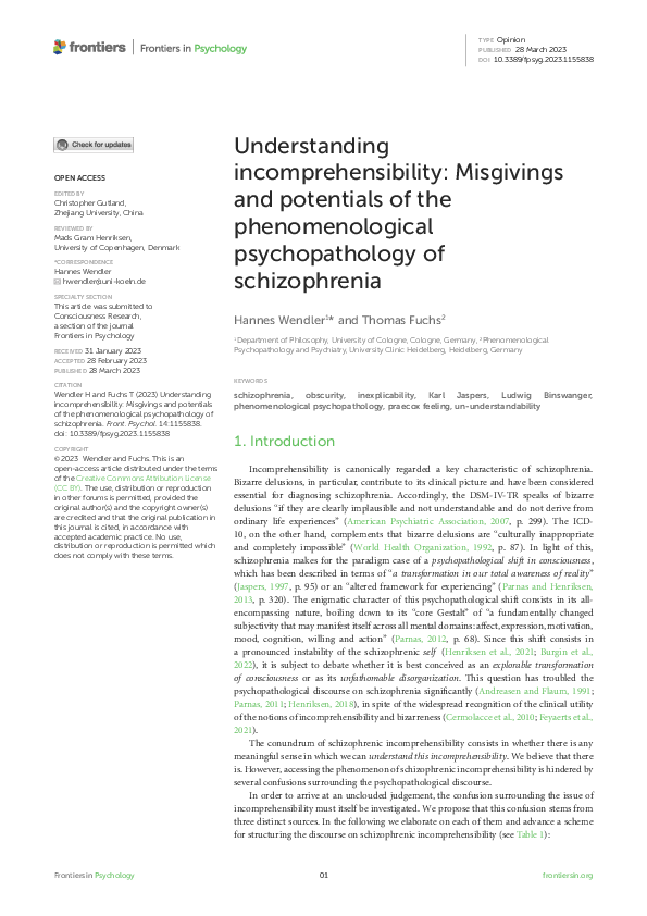 (PDF) Understanding incomprehensibility: Misgivings and potentials of ...