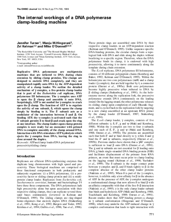(PDF) The internal workings of a DNA polymerase clamp-loading machine