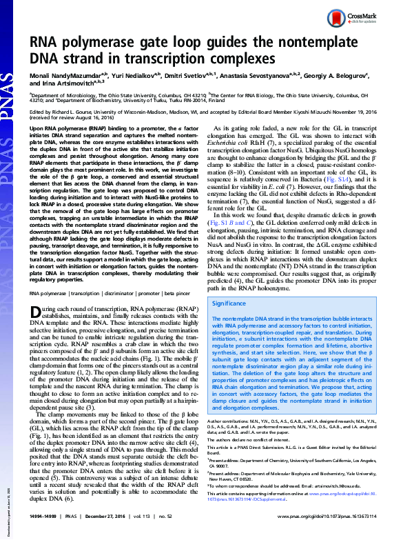(PDF) RNA polymerase gate loop guides the nontemplate DNA strand in ...