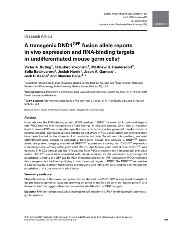 (PDF) A transgenic DND1GFP fusion allele reports in vivo expression and ...