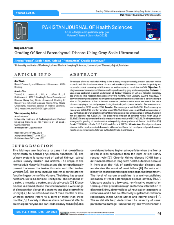(PDF) Grading Renal Parenchymal Disease via Gray Scale Ultrasound
