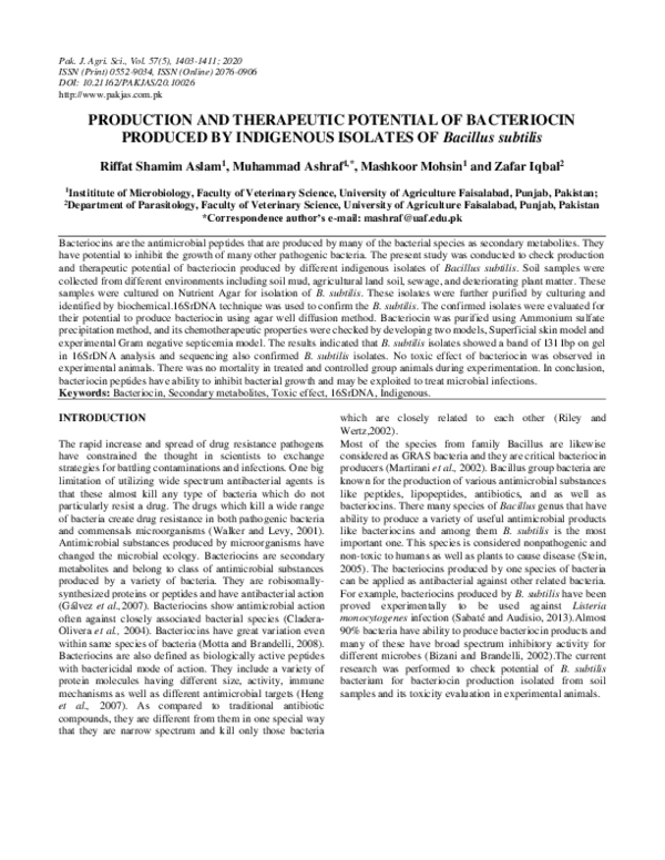 (PDF) PRODUCTION AND THERAPEUTIC POTENTIAL OF BACTERIOCIN PRODUCED BY ...