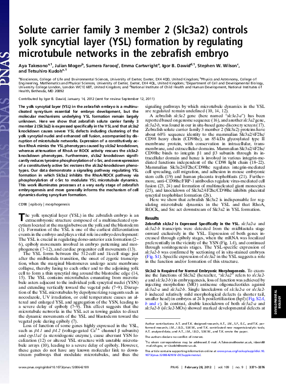 (PDF) Solute carrier family 3 member 2 (Slc3a2) controls yolk syncytial ...