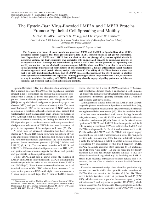 (PDF) The Epstein-Barr Virus-Encoded LMP2A and LMP2B Proteins Promote ...