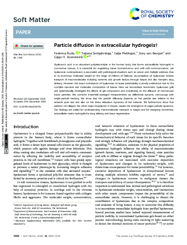(PDF) Particle diffusion in extracellular hydrogels