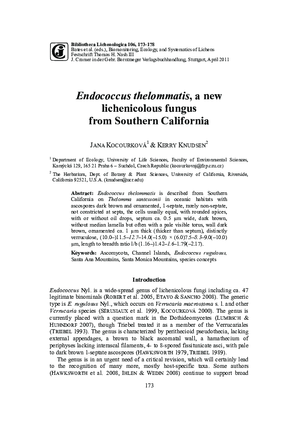 (PDF) Endococcus thelommatis, a new lichenicolous fungus from Southern ...