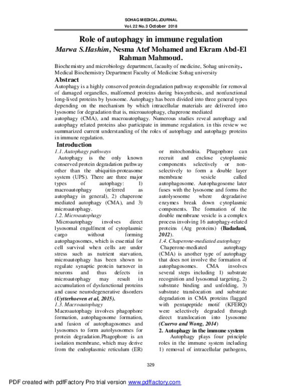 (PDF) Autophagy's Role in Immune Regulation: A Review