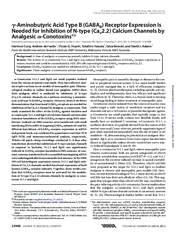 (PDF) γ-Aminobutyric Acid Type B (GABAB) Receptor Expression Is Needed ...